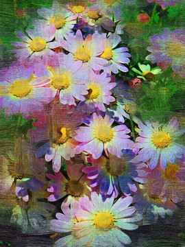 抽象畫 花韻