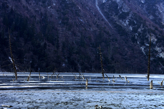 風景 貢卡腹心 巴王海
