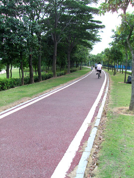 綠色自行車道