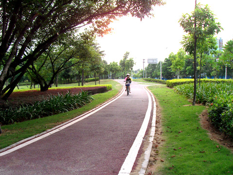 林間綠道