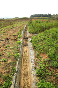 小水渠