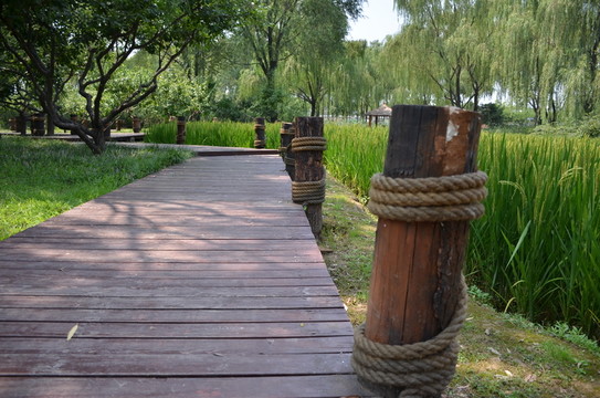 木棧道