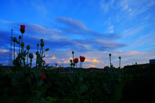 落日夕陽(yáng) 天空素材