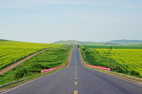 草原公路