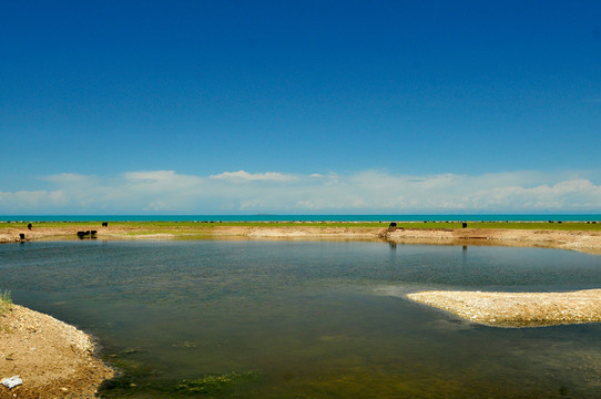 大美青海 青海湖 倒淌河