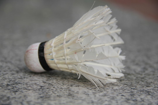 漂亮的羽毛球