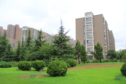 住宅 綠地