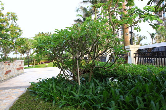 小區(qū)園林