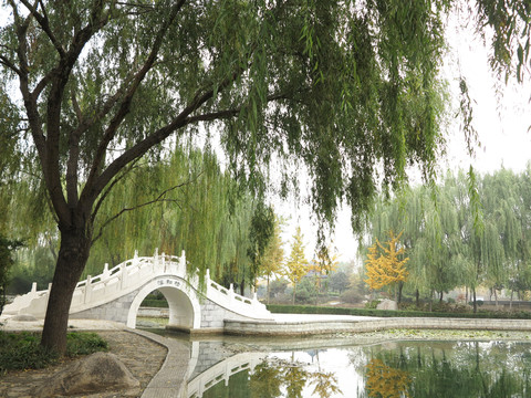 公園里的拱橋