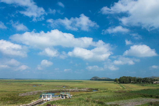 沽源壩上草原