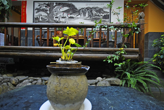 大理民居小花園