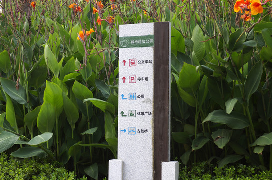 美人蕉中的公園指示牌