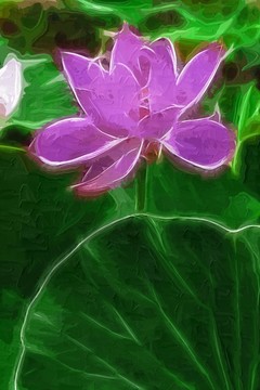 荷花 裝飾畫