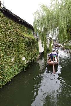 周莊 拱橋 河流 小河 高清