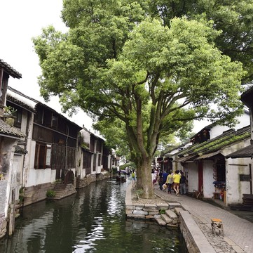 周莊 拱橋 水鄉(xiāng) 古鎮(zhèn)高清