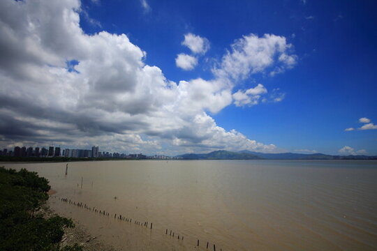 深圳灣 陰陽兩重天