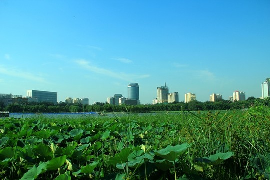 北京建筑 建筑 水邊建筑