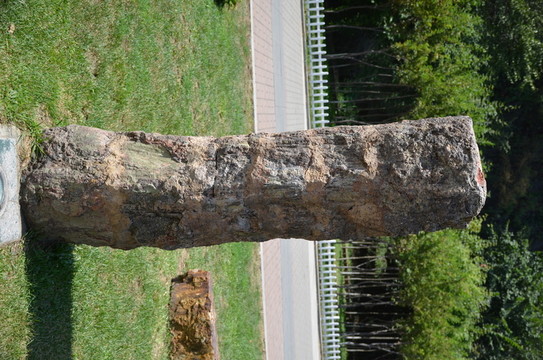 優(yōu)美的石柱裝飾藝術(shù)jpg高清