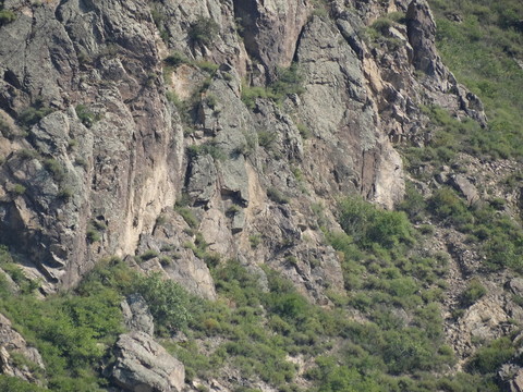 山石