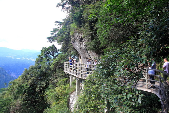 井岡山