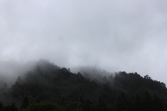 井岡山