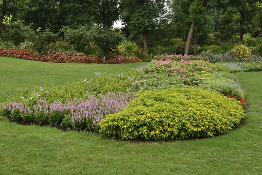 上海辰山植物園 礦坑花園 高清