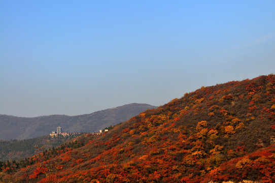 北京香山秋色