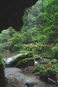 雅安碧峰峽峰簾珠