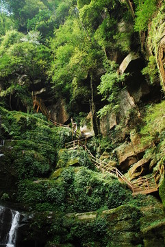 雅安碧峰峽女媧池景點(diǎn)石梯