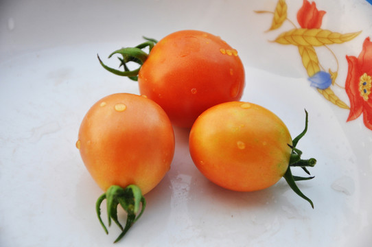 圣女果 蕃茄