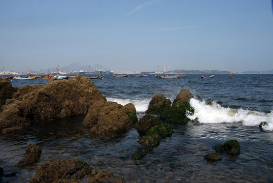 大海