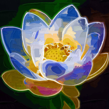 蓮花 花卉 裝飾畫
