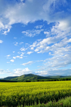 田園風(fēng)光