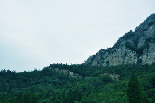 山景