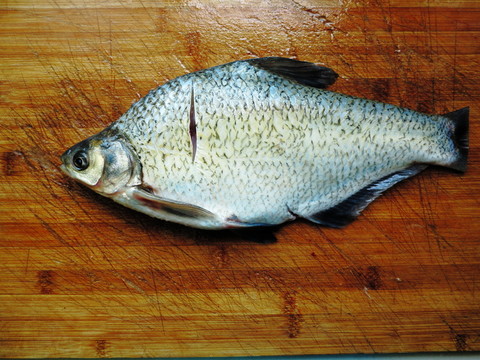 扁魚
