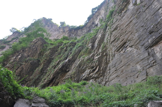 山景