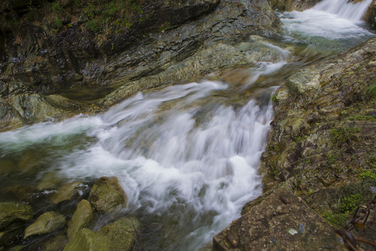 山澗 溪水
