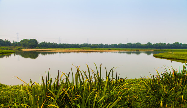 生態(tài)湖