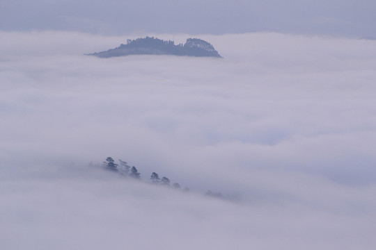 水墨山林 云霧 霧氣 霧 彌漫