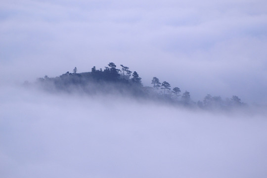 水墨山林 云霧 霧氣 霧 彌漫