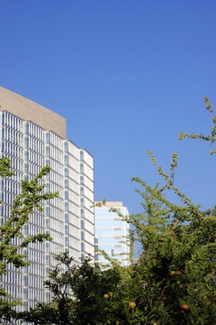 西安 城市風(fēng)光