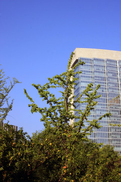 西安 城市風(fēng)光 高新區(qū)建筑