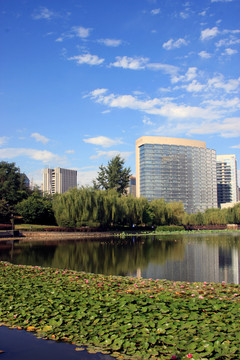 西安 城市風(fēng)光 高新區(qū)建筑