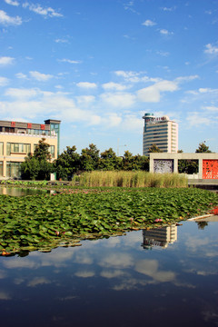 西安 城市風(fēng)光 高新區(qū)建筑