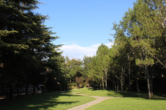 林間小路