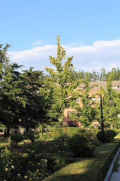 清華園