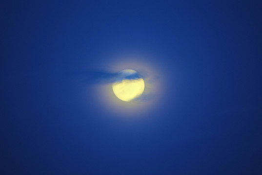 藍(lán)藍(lán)的夜