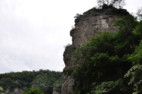 山景