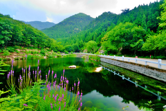 高山湖泊綠樹紅花