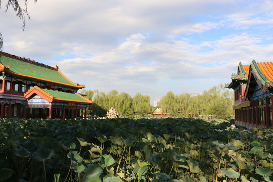 公園一景